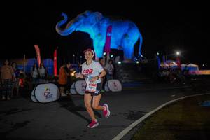 BIB: 
                            <button type="button" onclick="openModal(26551871)" class="btn btn-primary btn-sm float-right btn-popup" data-toggle="modal" data-target=".modal-high-quality">
                        <i class="fas fa-shopping-cart"></i> Add to Cart
                    </button>
                                            <button type="button" onclick="isThisMe(26551871, true)" class="btn btn-success btn-sm float-right btn-popup btn-isme hidden" data-toggle="tooltip" data-placement="bottom" title="นี่คือรูปของคุณใช่ไหม คลิกที่นี่เพื่อเอาเข้าอัลบั้ม">
                        <i class="fas fa-plus"></i> Add to album
                    </button>
                    <button type="button" onclick="isThisMe(26551871, false)" class="btn btn-warning btn-sm float-right btn-popup btn-isnotme hidden">
                        <i class="fas fa-ban"></i> Remove from album
                    </button>